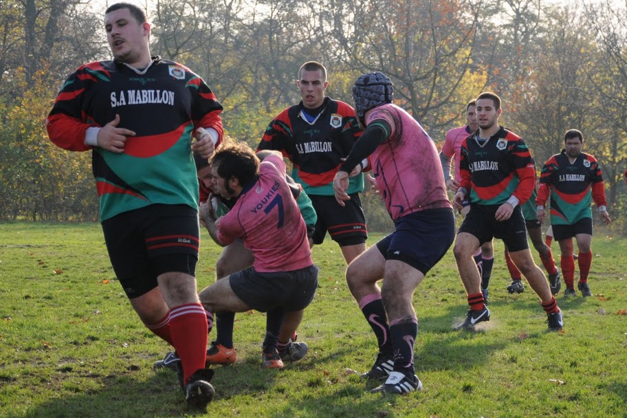 ASCEE2  15 - 41  Stains